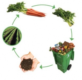 ciclo compost